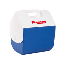 Cool-Box – izolovaná plastová krabica