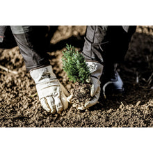 NITRAS celozrnné rukavice z hovädzej kože, prírodná farba / hnedá, EN 388 bavlna | Balenie (12 párov)