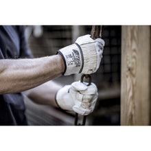 NITRAS PLUTO, celozrnné rukavice z hovädzej kože, prírodná farba / sivá, EN 388 bavlna | Balenie (12 párov)