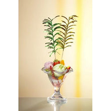 Sklenený pohár na dezert s farebnou zmrzlinou, kúskami ovocia a dvoma farebnými PAPSTAR 144 dekoratívnymi špáradlami od PAPSTAR GmbH, všetko pred jemne osvetleným pozadím.