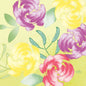 Servítky 33 cm 3-vrstvové 1/4-sklad Soft Tropics Papierové servítky od Duni GmbH-250 trojvrstvových servítok sú ozdobené ilustráciou tropických kvetov v štýle štetca, ktoré každému stolu dodajú živú atmosféru.