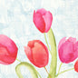 Akvarelová ilustrácia ružových a červených tulipánov so zelenými stonkami na svetlomodrom, bodkovanom pozadí - ideálne pre servítky 33 cm 3-vrstvové 1/4-sklad Painted Tulips papierové servítky od Duni GmbH (balenie, 250 kusov).