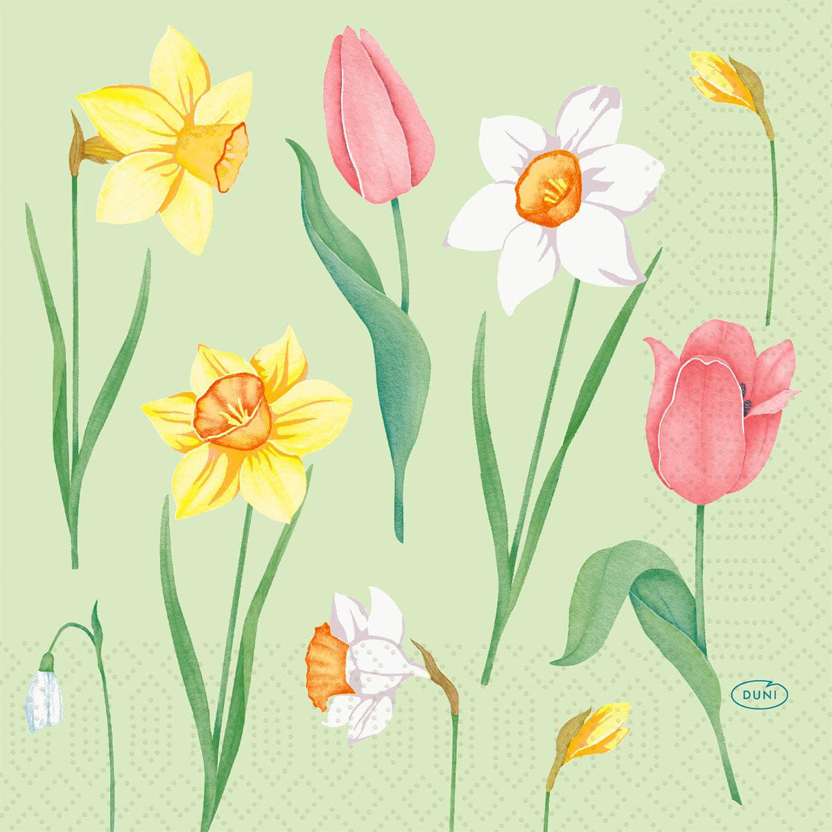 Ilustrácia jarných kvetov ako žlté narcisy, ružové tulipány a snežienka na svetlozelenej - ideálne pre Duni GmbH servítky 33 cm 3-vrstvové Spring Melody papierové servítky, balenie s 250 kusmi.