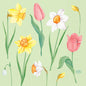 Ilustrácia jarných kvetov ako žlté narcisy, ružové tulipány a snežienka na svetlozelenej - ideálne pre Duni GmbH servítky 33 cm 3-vrstvové Spring Melody papierové servítky, balenie s 250 kusmi.