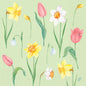 Servítky 40x40 cm 3-vrstvové Spring Melody od Duni GmbH: Ilustrácia so žltými narcismi, ružovými tulipánmi, bielymi snežienkami a bielym narcisom na svetlozelenom pozadí - balenie s 250 papierovými servítkami.