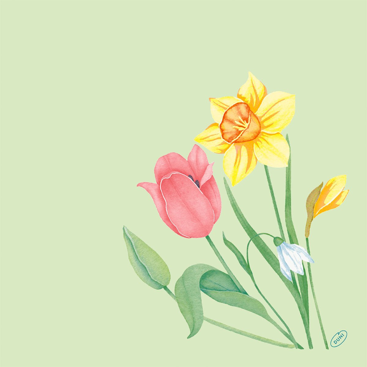 Ilustrácia ružového tulipánu, žltej narcisy, malej bielej kvetiny a žltej púčiky na svetlozelenom pozadí - ideálna pre Bio-Dunisoft-Serv. 40x40cm od Duni GmbH.