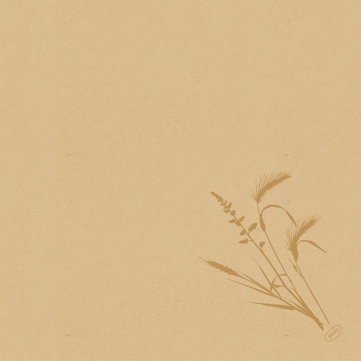 Béžový štruktúrovaný papier s jednoduchou hnedou botanickou ilustráciou trávy v pravom dolnom rohu. Perfektné na prezentáciu Duni GmbH Bio-Dunisoft-Serv. 40x40cm. Zvyšok stránky je prázdny.
