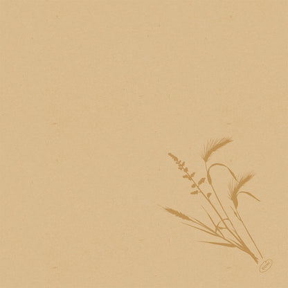 Béžový štruktúrovaný papier s jednoduchou hnedou botanickou ilustráciou trávy v pravom dolnom rohu. Perfektné na prezentáciu Duni GmbH Bio-Dunisoft-Serv. 40x40cm. Zvyšok stránky je prázdny.