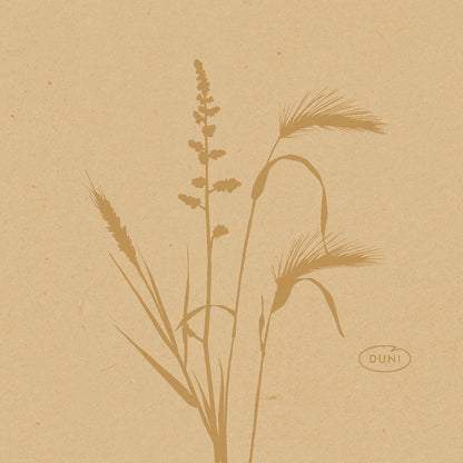 Eine minimalistische Illustration von wilden Gräsern und Pflanzen in Brauntönen ziert diese 20x20cm großen Bio-Dunisoft umweltfreundlichen Servietten der Duni GmbH, mit dem Wort "DUNI" in einem Oval unten rechts auf einem strukturierten hellbraunen Hintergrund.