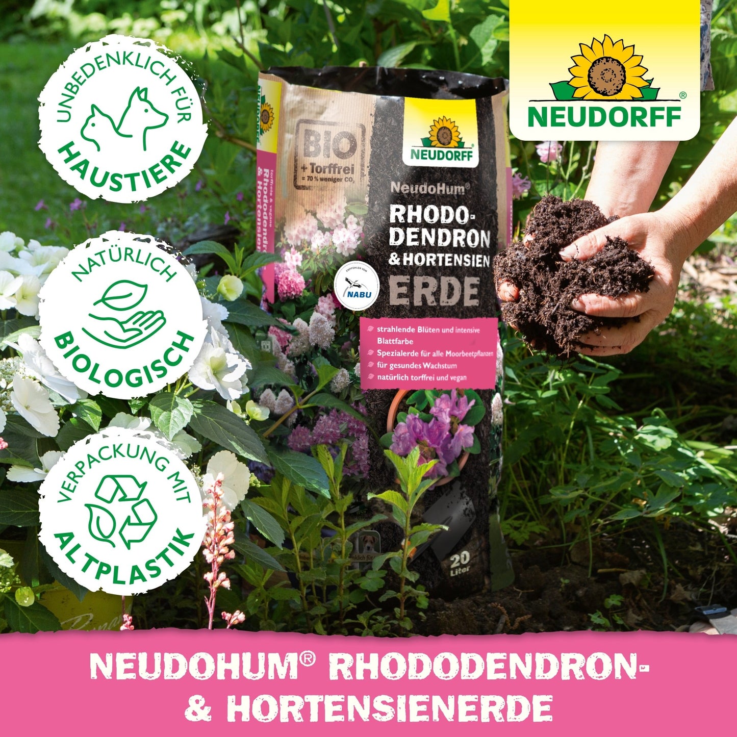 Osoba s bohatou NeudoHum Rhododendron & Hortensien Erde z Neudorff Shopu, ideálna na podporu zdravého rastu rododendronov.