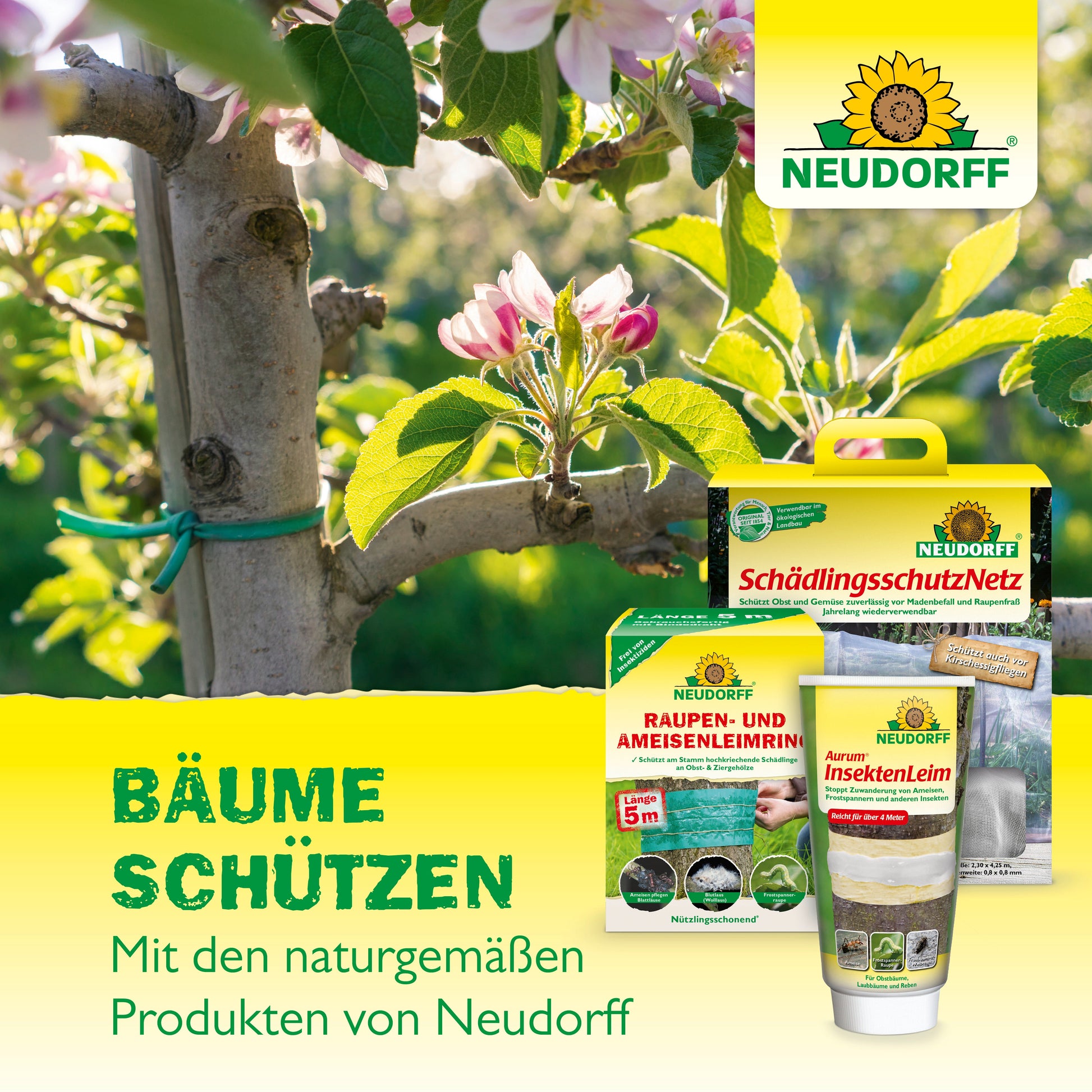 Ein mit grüner Schnur gebundener Ast unter Blüten, reifende Kirschen; im Vordergrund die Neudorff Shop KirschmadenFalle für natürlichen Kirschenschutz und darüber das Logo; deutscher Text hebt Baumpflege und Kirschernte hervor.
