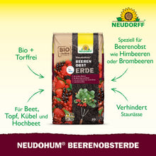 Ein 20-Liter-Sack NeudoHum BeerenobstErde von Neudorff Shop ist mit Beeren und Gartengeräten abgebildet. Torffrei und ideal für den Anbau von Beerenpflanzen auf dem Balkon, in Töpfen oder Gartenbeeten.