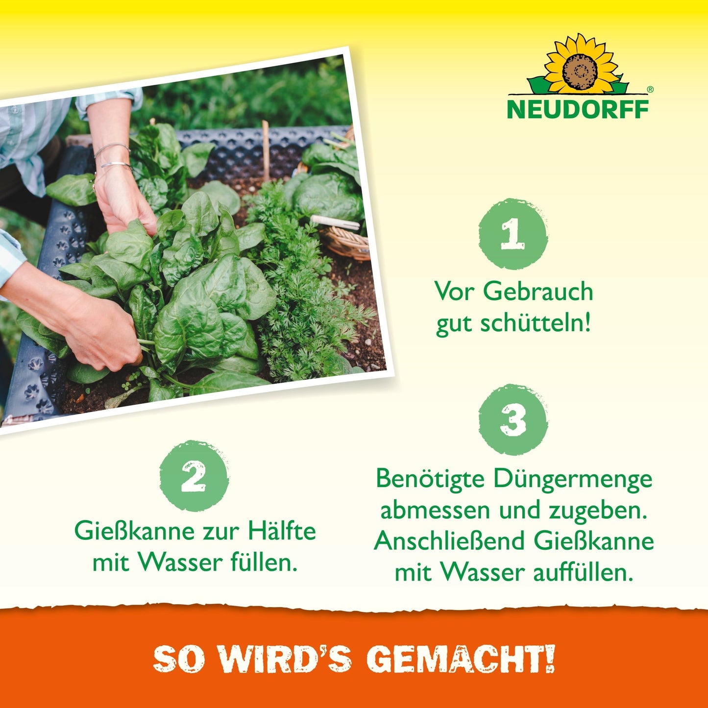 Osoba polieva s kanvicou Azet HochbeetDünger tekutý z Neudorff Shop na zelené listové rastliny vo vyvýšenom záhone. Zobrazené sú kroky prípravy živinového roztoku a logo Neudorff, vrátane nemeckého návodu.
