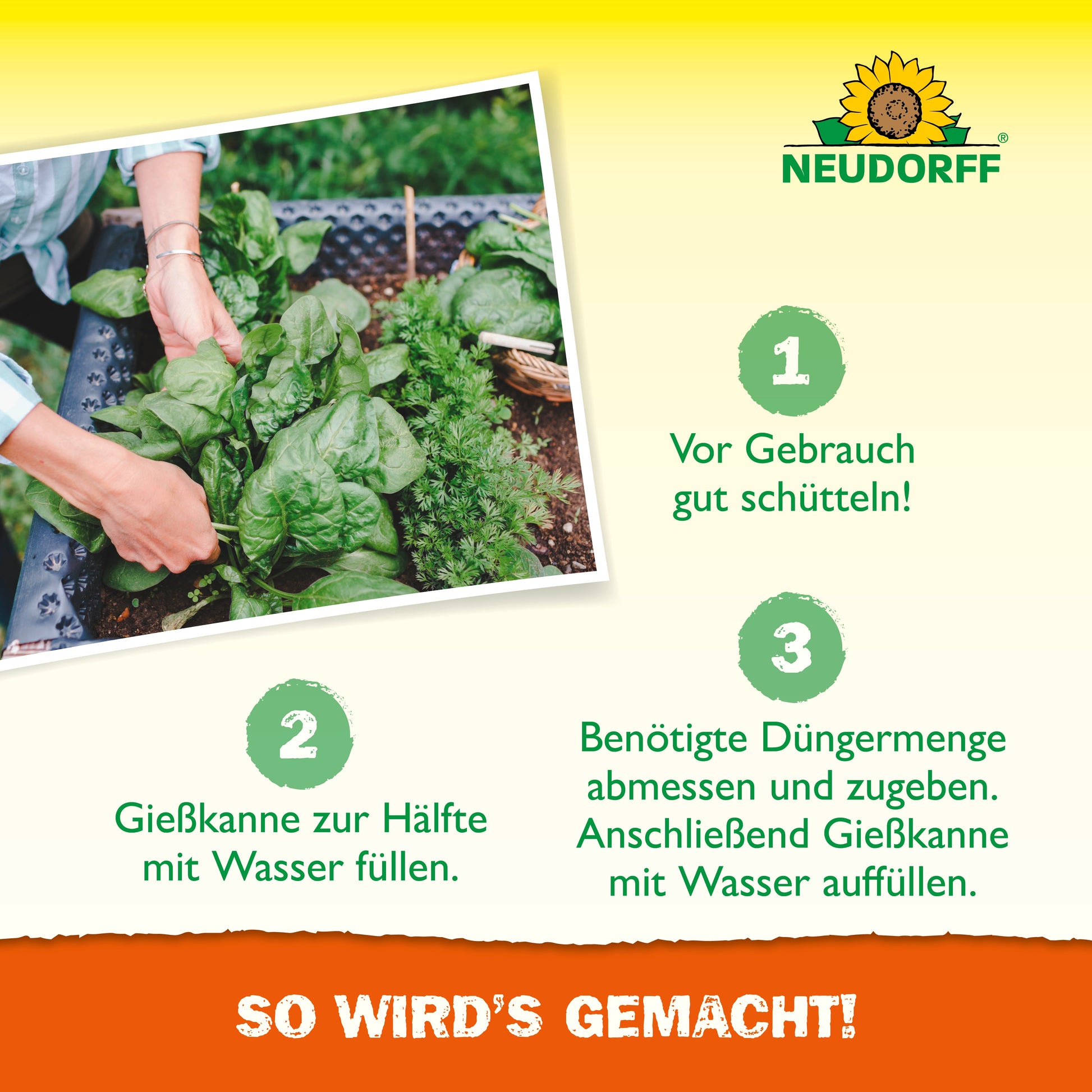 Eine Person trägt mit einer Gießkanne Azet HochbeetDünger flüssig aus dem Neudorff Shop auf grüne Blattpflanzen in einem Hochbeet auf. Abgebildet sind die Zubereitungsschritte für die Nährstofflösung und das Neudorff-Logo, inklusive deutscher Anleitung.