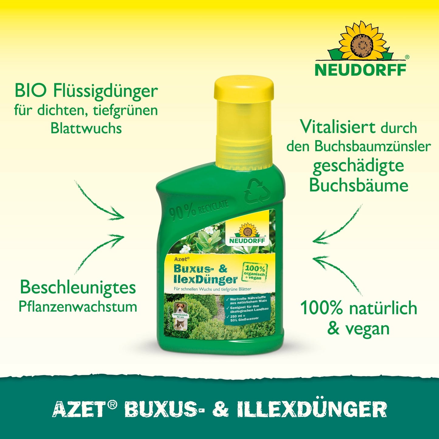 Fľaša Neudorff Shop Azet Buxus- & Ilex hnojivo tekuté stojí na zelenej ploche. Text zdôrazňuje organickú, 100% prírodnú a vegánsku formulu, ktorá podporuje rast a revitalizuje krušpán a iné vždyzelené črepníkové rastliny.