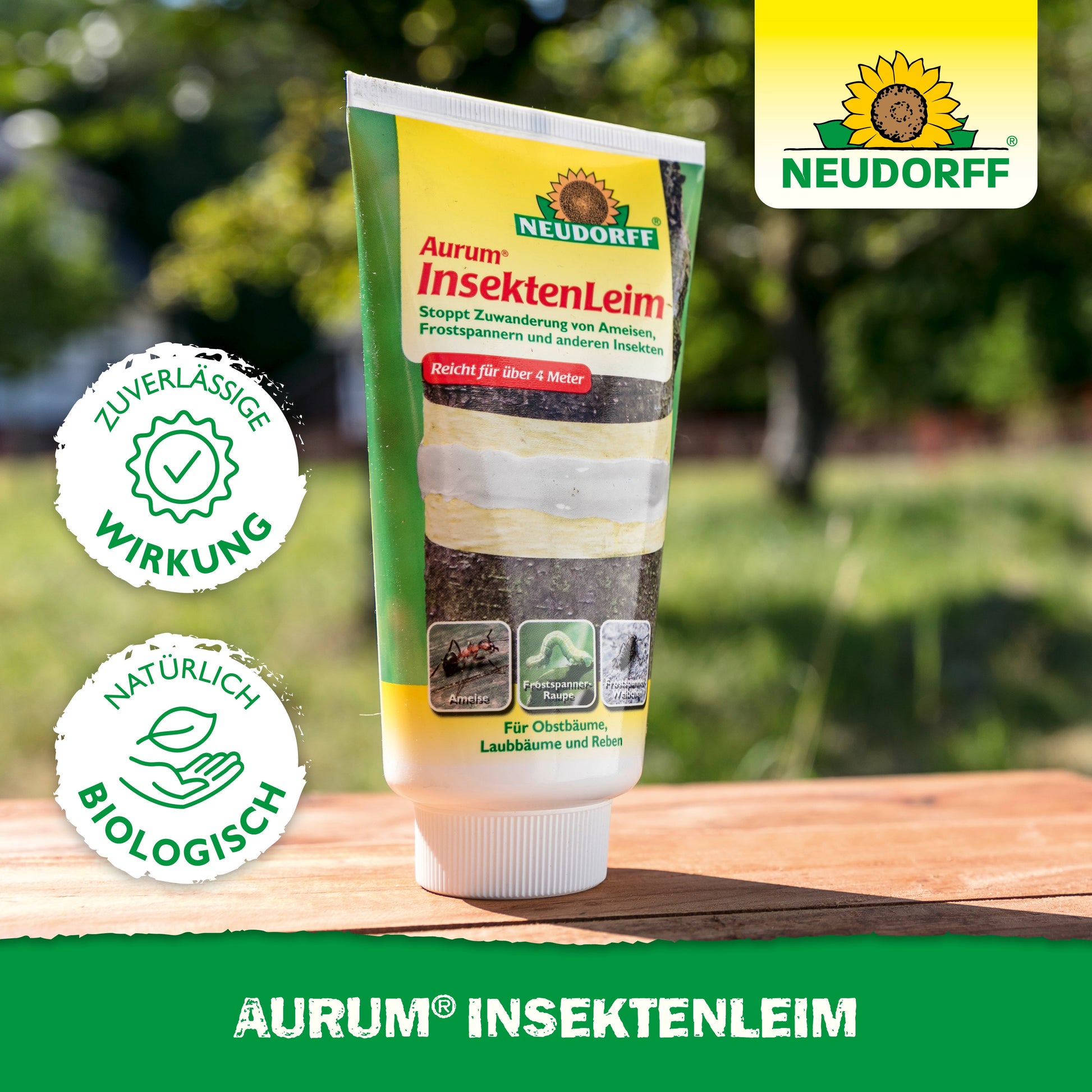 Eine Tube Neudorff Shop Aurum InsektenLeim steht auf einem Tisch im Freien. Die Verpackung hebt die zuverlässige Wirkung gegen Ameisen und Wintermotten hervor und schützt Obstbäume mit natürlichen, biologischen Inhaltsstoffen.