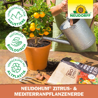 NeudoHum Citrus a pôda stredomorských rastlín
