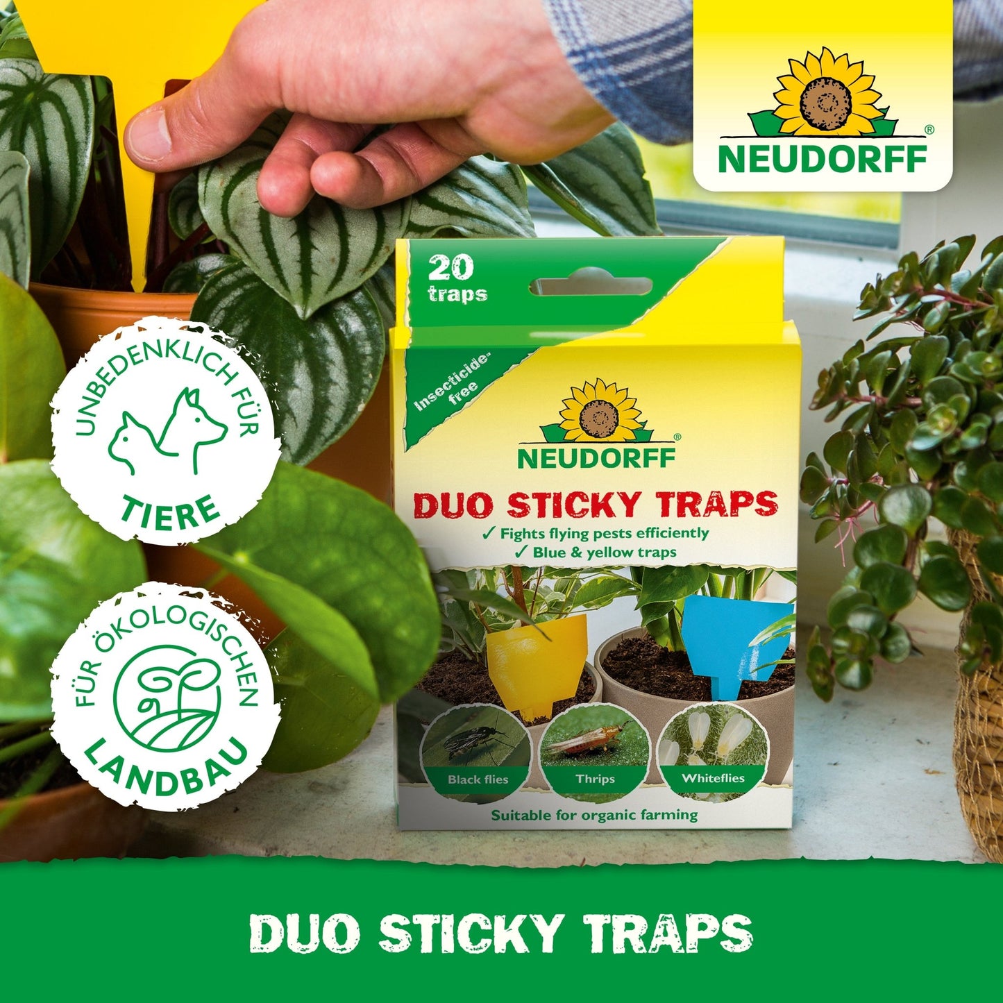 Ruka umiestňuje žltú Duo lepiacu pascu od Neudorff Shop do črepníkovej rastliny. Pred ňou je na stole medzi zelenými listami krabica s nápisom "Neudorff Shop Duo Sticky Traps", so symbolmi pre bezpečnosť zvierat a ekologickú vhodnosť.