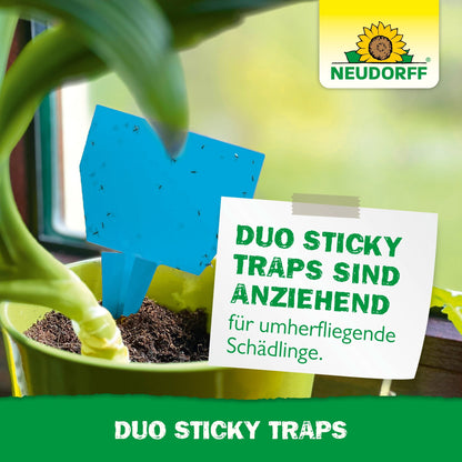 Duo Sticky Trap od Neudorff Shop visí v izbovej rastline pri okne a chytá malý hmyz. Nemecký text odporúča tieto pasce proti lietajúcim škodcom ako smútivky a strapky.