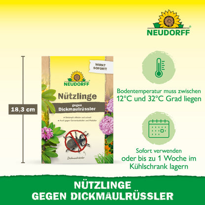 Abgebildet ist eine Packung "Nützlinge gegen Dickmaulrüssler" aus dem Neudorff Shop, auf der die Höhe von 18,3 cm, die erforderliche Bodentemperatur und die Anwendungshinweise für dieses natürliche Schädlingsbekämpfungsmittel auf Nematodenbasis angegeben sind.