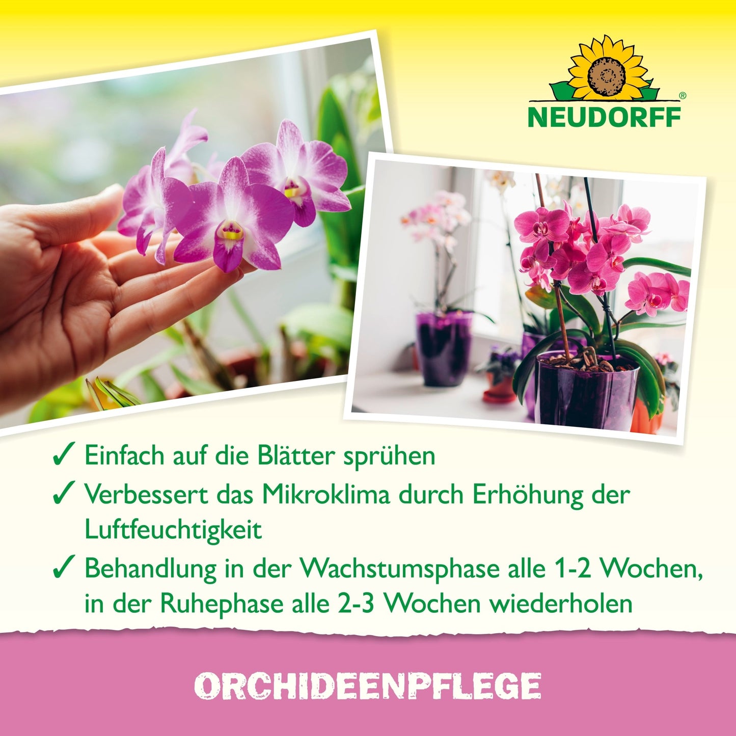 Ruka rozprašuje orchideu s OrchideenPflege od Neudorff Shop. Nemecký text odporúča pravidelné rozprašovanie týmto produktom ako prostriedok starostlivosti o rastliny, aby sa zvýšila vlhkosť vzduchu a podporilo zdravie orchideí. Na fotografii je v pozadí zobrazená orchidea.
