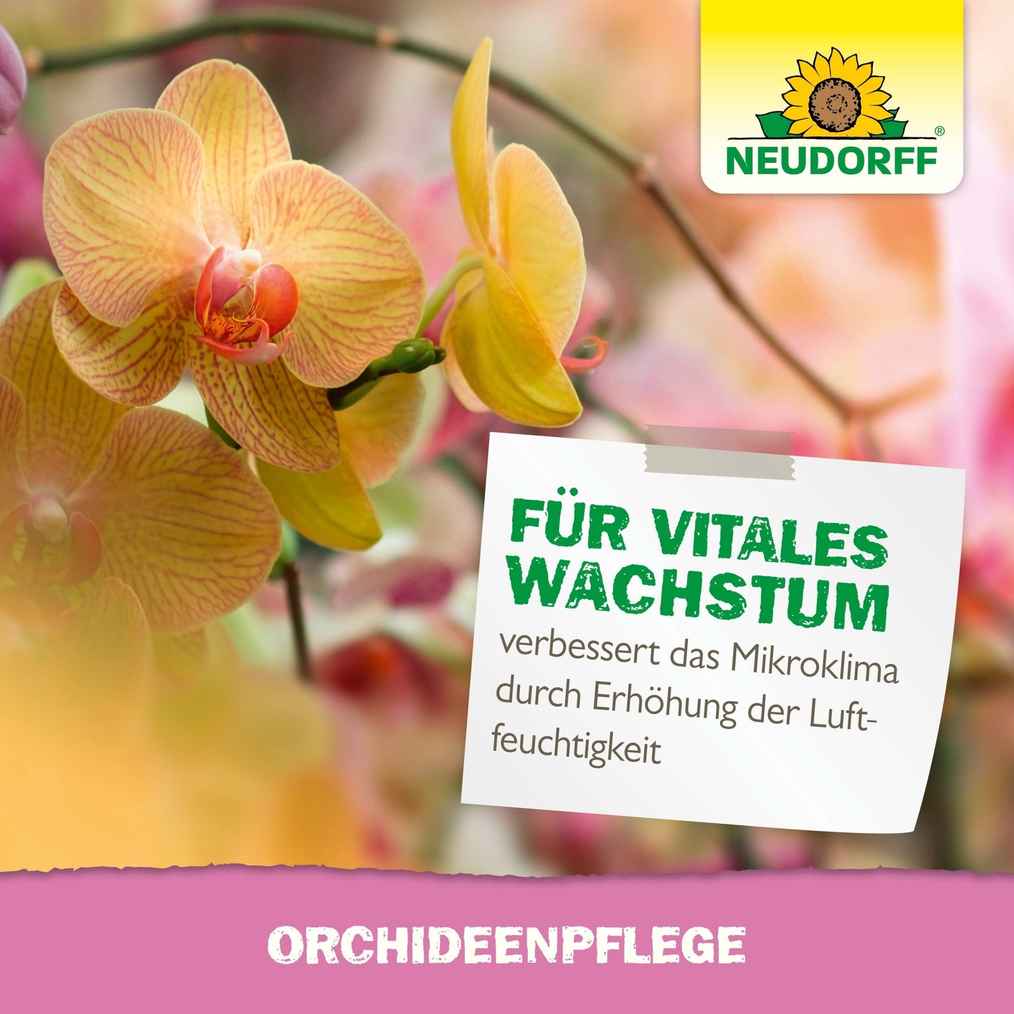 Niekoľko žlto-oranžových kvitnúcich orchideí je vidieť zblízka. Nemecký nápis propaguje OrchideenPflege od Neudorff Shop a zdôrazňuje zlepšený rast a zvýšenú vlhkosť. Logo Neudorff sa objavuje vpravo hore.