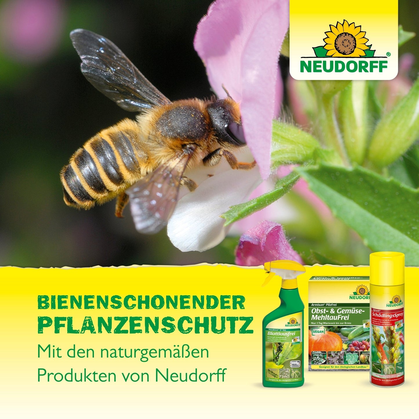 Včela zbiera nektár z ružového kvetu. V popredí sú tri produkty OrchideenPflege od Neudorff Shop. Nemecký text zdôrazňuje včelám priateľské, prírodné prostriedky na starostlivosť o orchidey od Neudorff Shop.