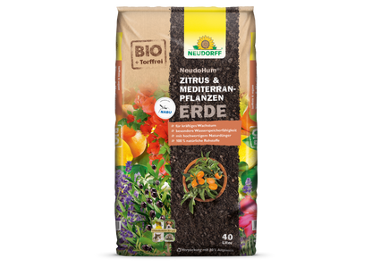 NeudoHum Citrus a pôda stredomorských rastlín