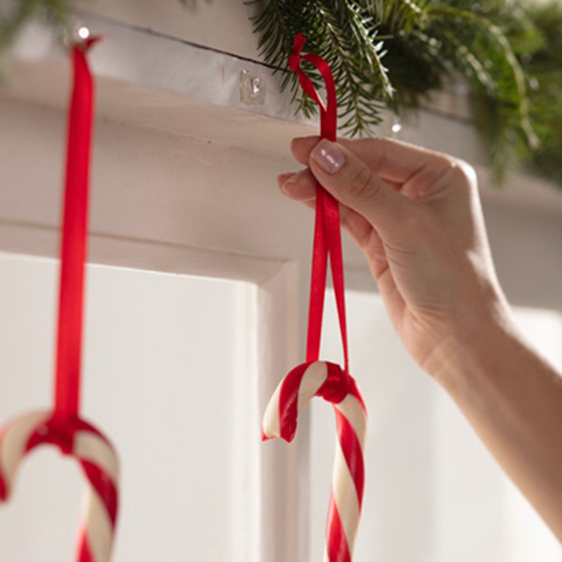 Eine Hand hängt eine rot-weiße Zuckerstange mit einem roten Band an einem 3M Deutschland GmbH Command™ Mini-Haken 17006CLR (transparent, mit transparenten Strips), der bereits eine andere Zuckerstange unter einem Tannenzweigdekor hält.