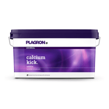 Obdĺžniková 10 kg plastová nádoba spoločnosti Bertels B.V. s nápisom „Plagron Calcium Kick“ má fialové veko a rukoväť s farebným prechodom; tento minerálny prostriedok na zlepšenie pôdy zlepšuje štruktúru pôdy a pôsobí ako regulátor pH.