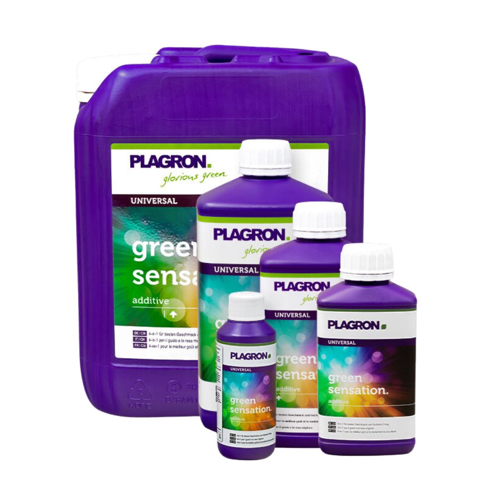 Päť fliaš Plagron Green Sensation od Bertels B.V. v rôznych veľkostiach zvyšuje kvalitu rastlín. Fialové fľaše s bielymi uzávermi a zeleno-bielymi etiketami zlepšujú kvalitu úrody, pričom najväčšia je vzadu.